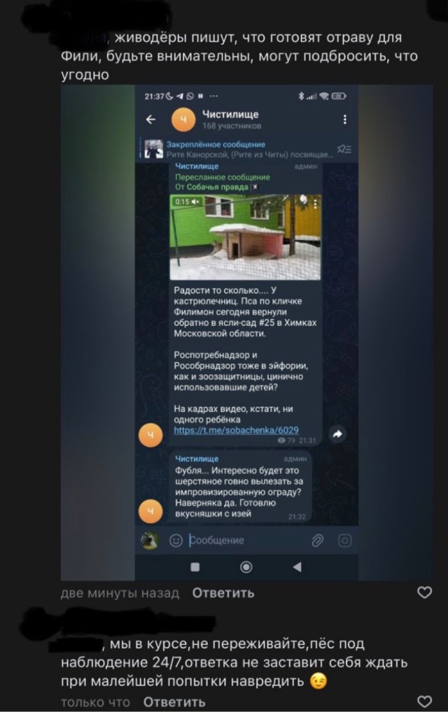 «Это прецедент, у нас такого не было». Подмосковному детсаду вернули собаку, изъятую из-за «санитарных норм»