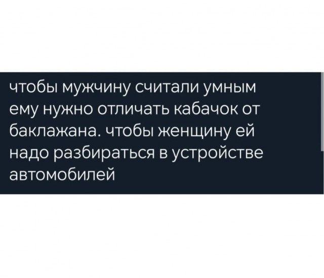 Весёлый полтишок 13.05 24