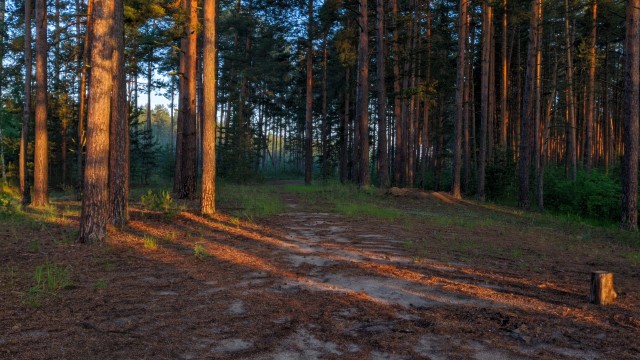Фоточку сделал сейчас