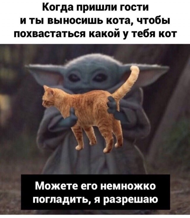 Немного забавных картинок от 22.08.2024
