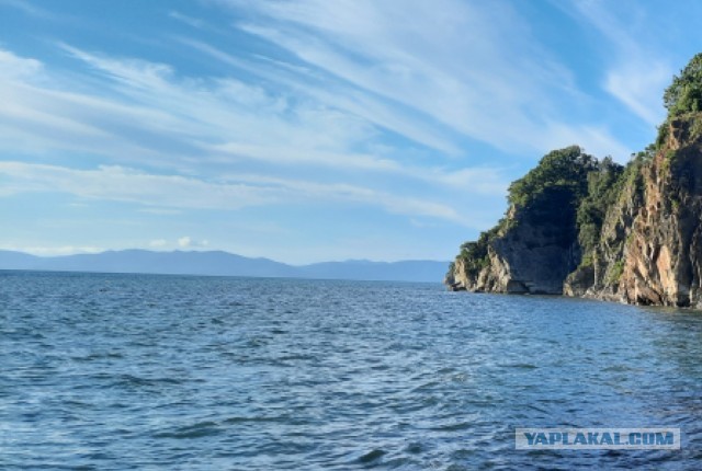 Оборотни против вампиров. Конкурс ужастиков к 31 октября