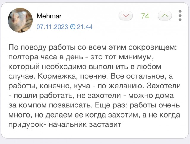 Веселая ферма: ЯППомощник