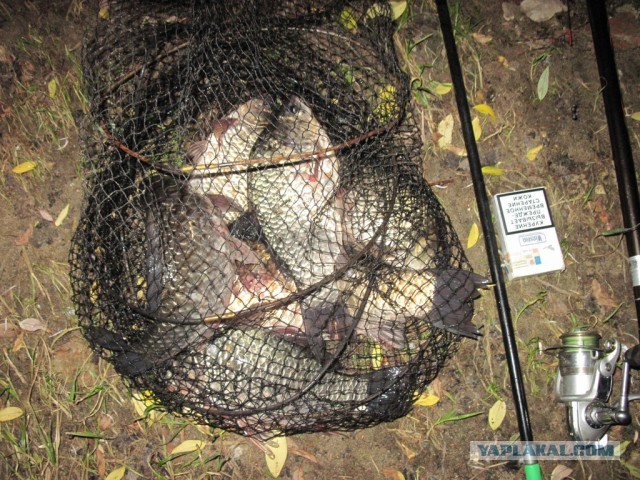 Рыбалка в ближайшем подмосковье