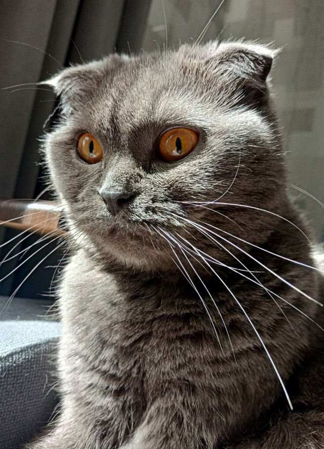 Вот скажите