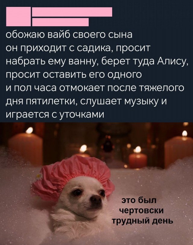 Так себе картинки 25.06.25