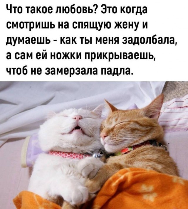 Каартинки весёлые и не очень