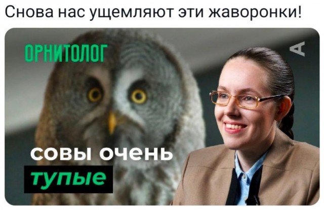 Картинок немного в среду утром