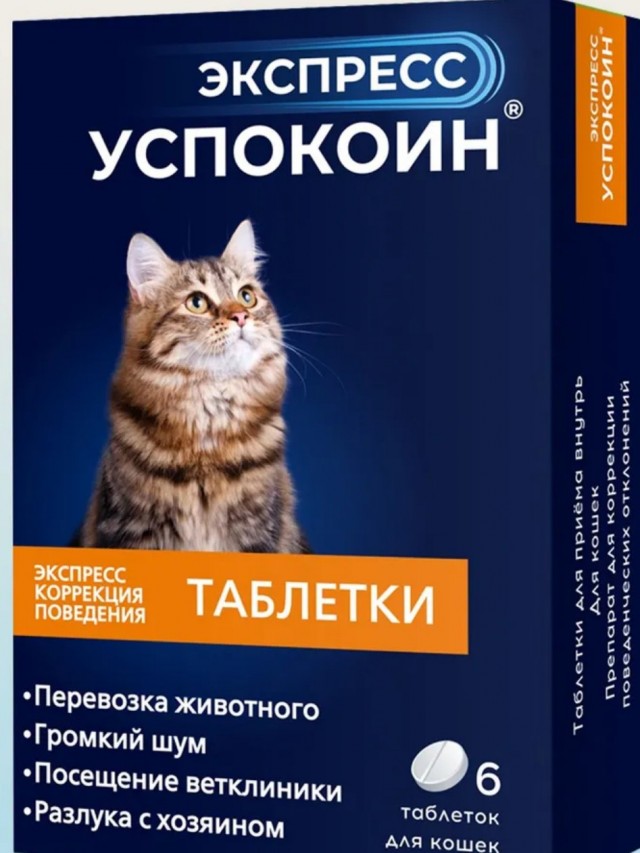 Искупать кошку? Проще пареной репы!