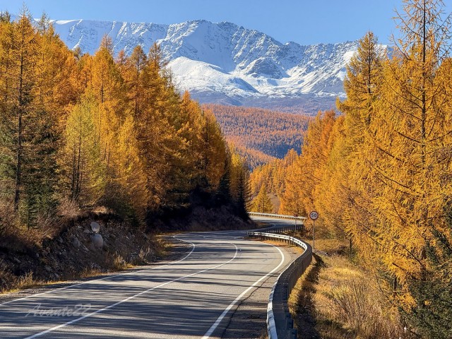 Вот такая красота у нас сегодня
