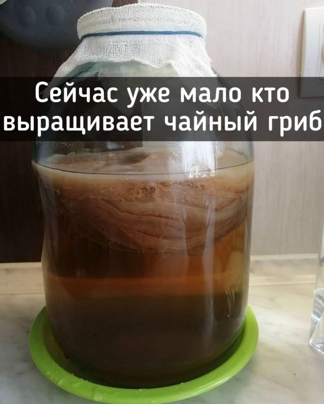 Пока отдыхаете, можно и поностальгировать!