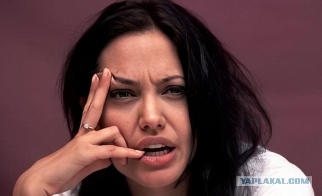 Численность рысей в Подмосковье увеличилась в 2,5 раза