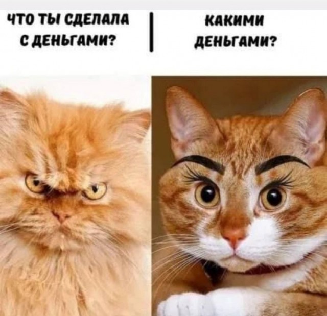 На абордаж!