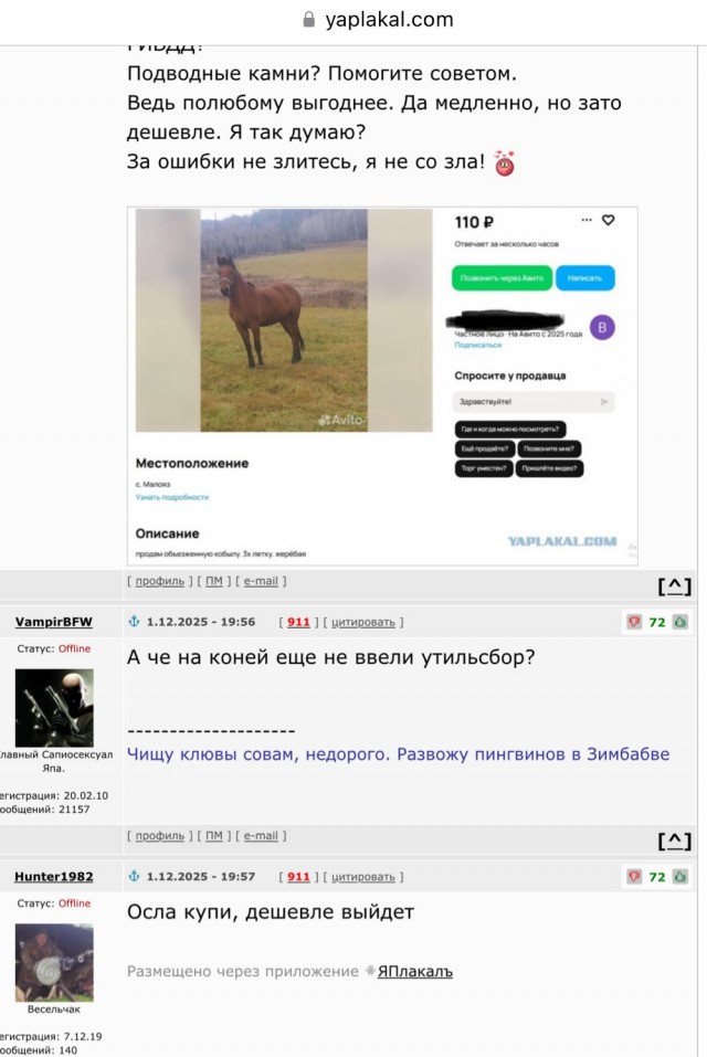В ЖК «Румянцево Парк» кто-то привязал свою любовницу к скамейке