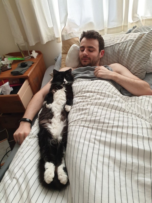 Котики здороваются с мужчинами энергичнее, чем с женщинами! Научное исследование.