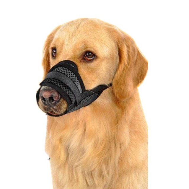 Жители боятся гулять с питомцами в ЖК «Мещерский лес»