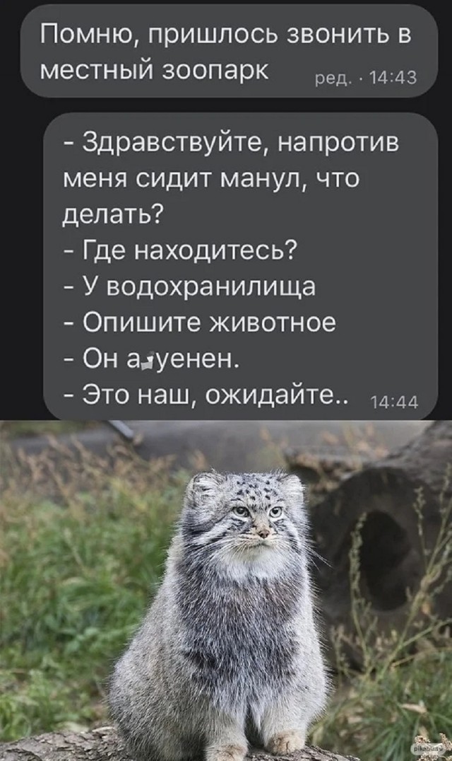 Так себе картинки 03.03.26