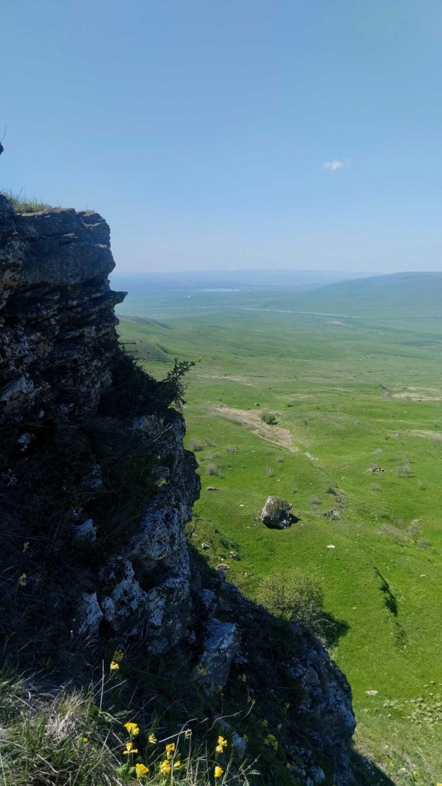 Литературное заведение "Буквица"