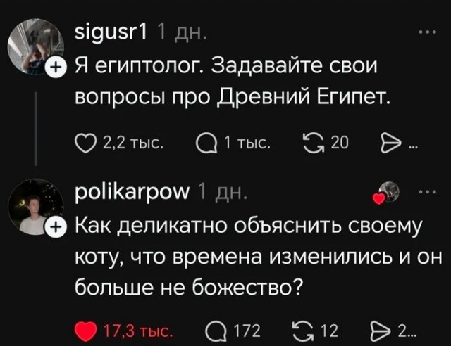 Картинки для деградации 224 (разной степени свежести)