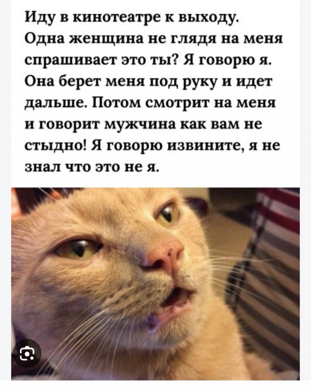 Картинки для деградации 284 (разной степени свежести)