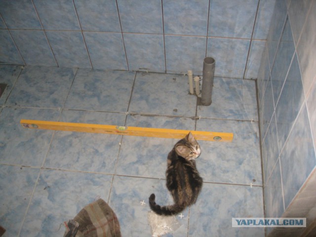 Как я помогал дяде