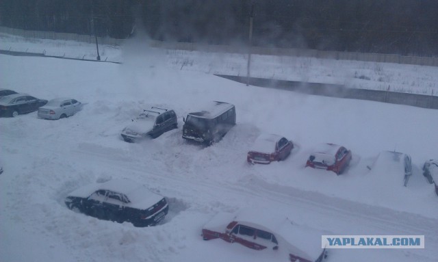Доброта соседская