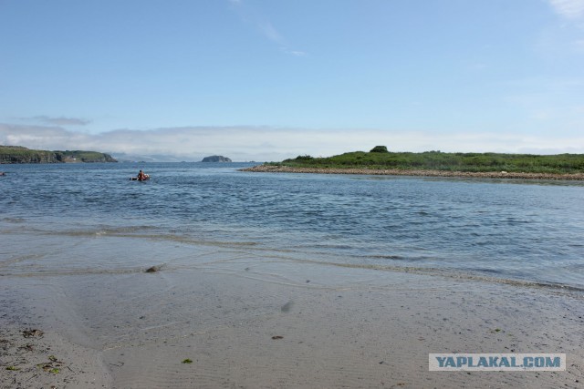 Природа Приморского края