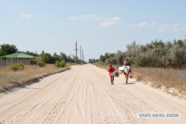 Арабатская стрелка