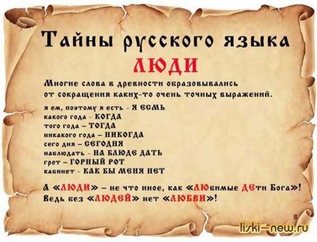 20 фактов обо всем