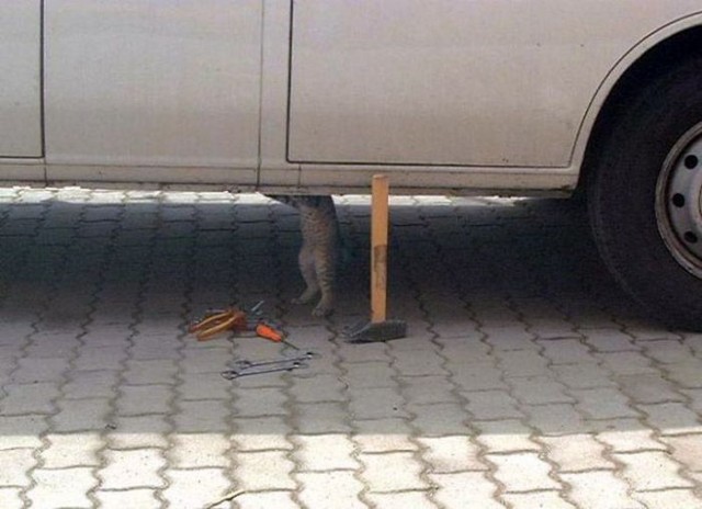 А... просто показалось