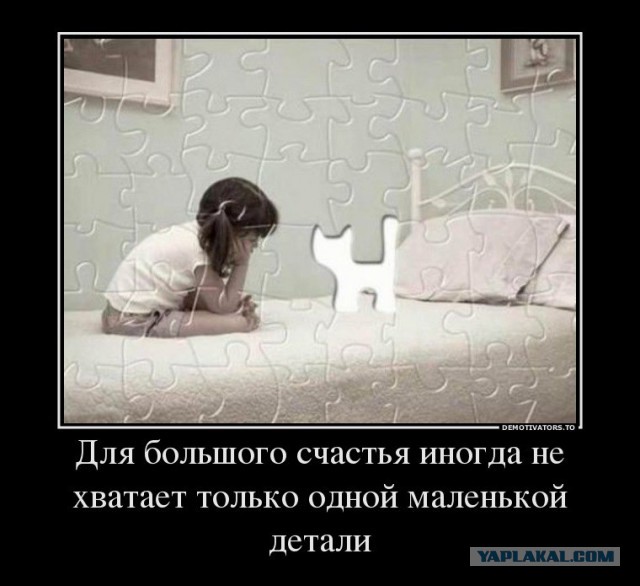 Когда угадали с подарком