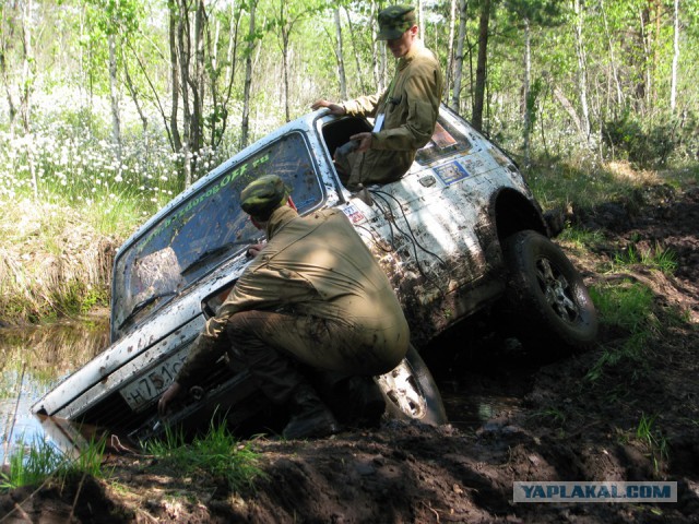 Нива по ГОСТу