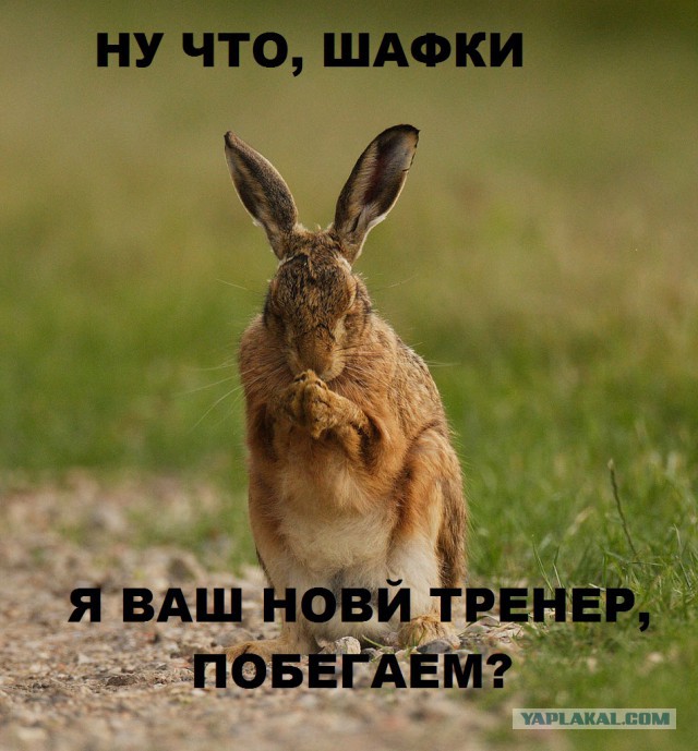 Меня не догнать, неудачники!