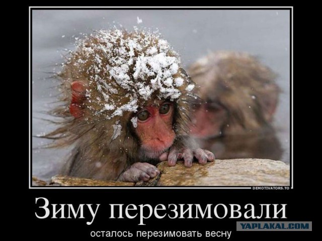 Смешные картинки
