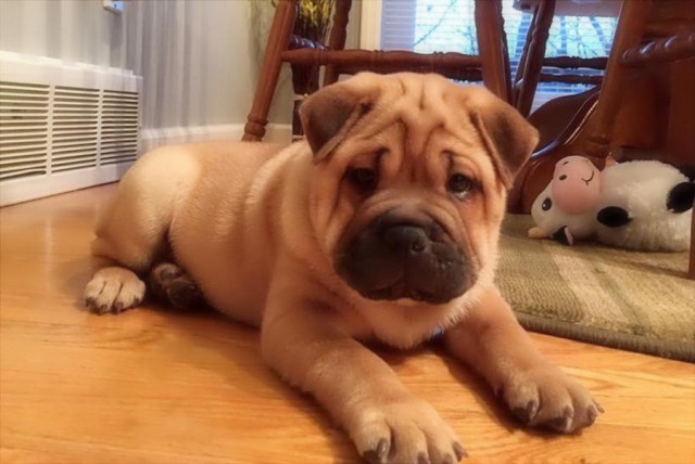 Свежая подборка красивых фото