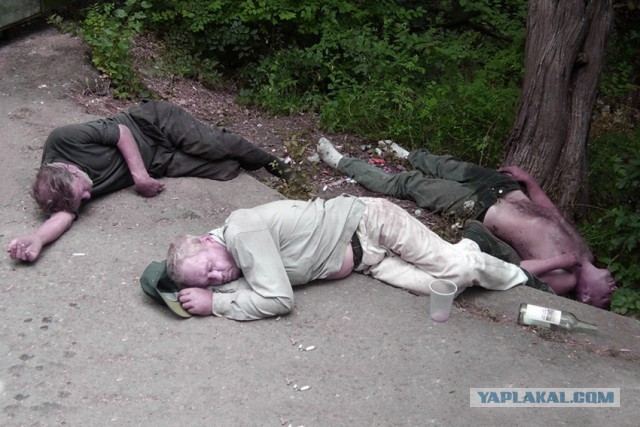 Скамейки Убийцы!