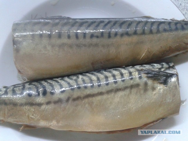 Скумбрия малосольная