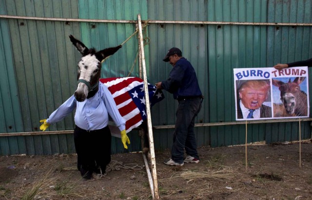 Подборка интересных и красивых фото