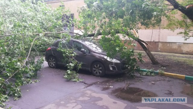 Сильная гроза в Москве и ее последствия