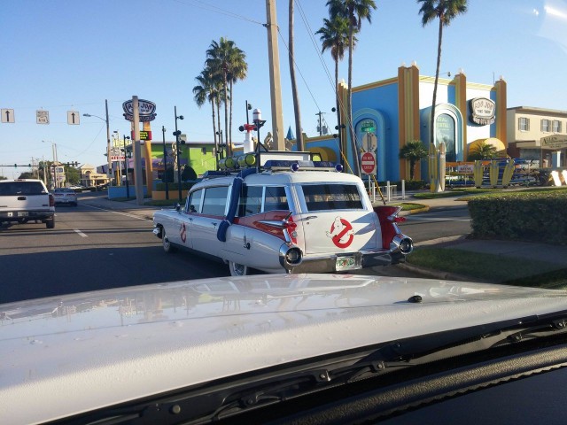 Картинки и приколы из сети