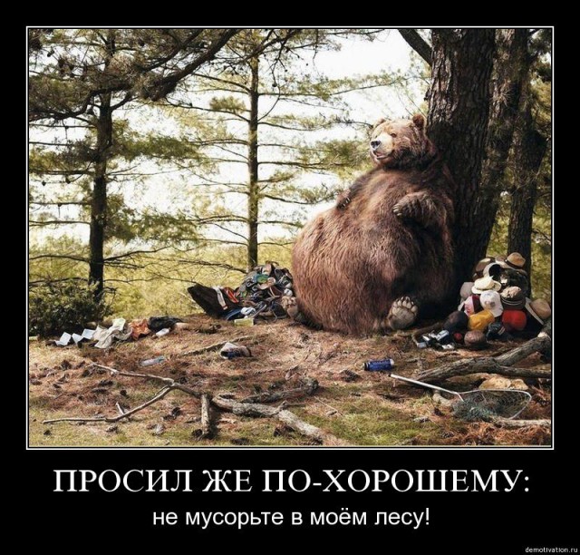 Прикольные животные