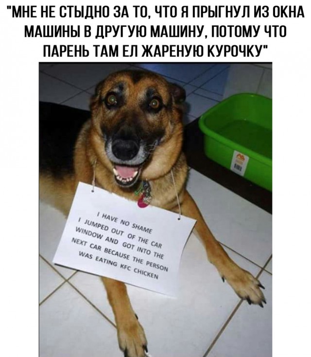 Всякое разное из сети
