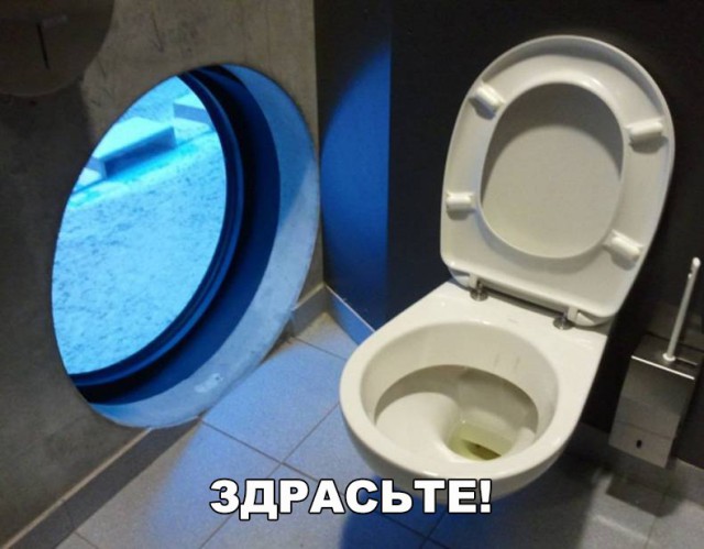 Подборка безудержного веселья