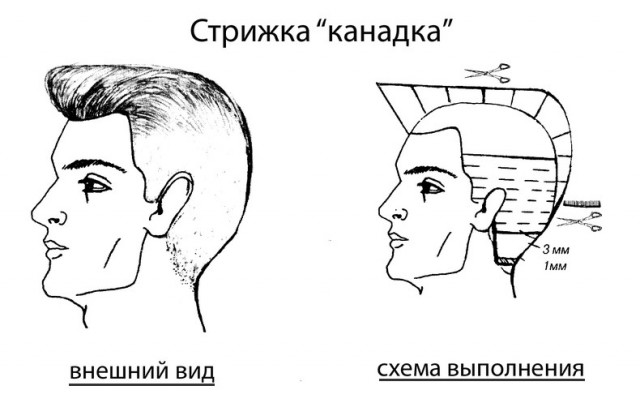 Почему хипстеры и некоторые звезды носят эту прическу