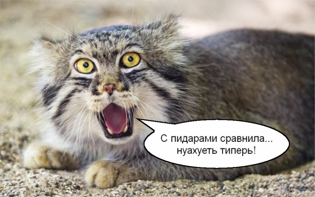 Большая ошибка женщин в отношениях