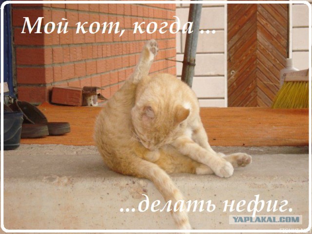 Отвертка достоинства