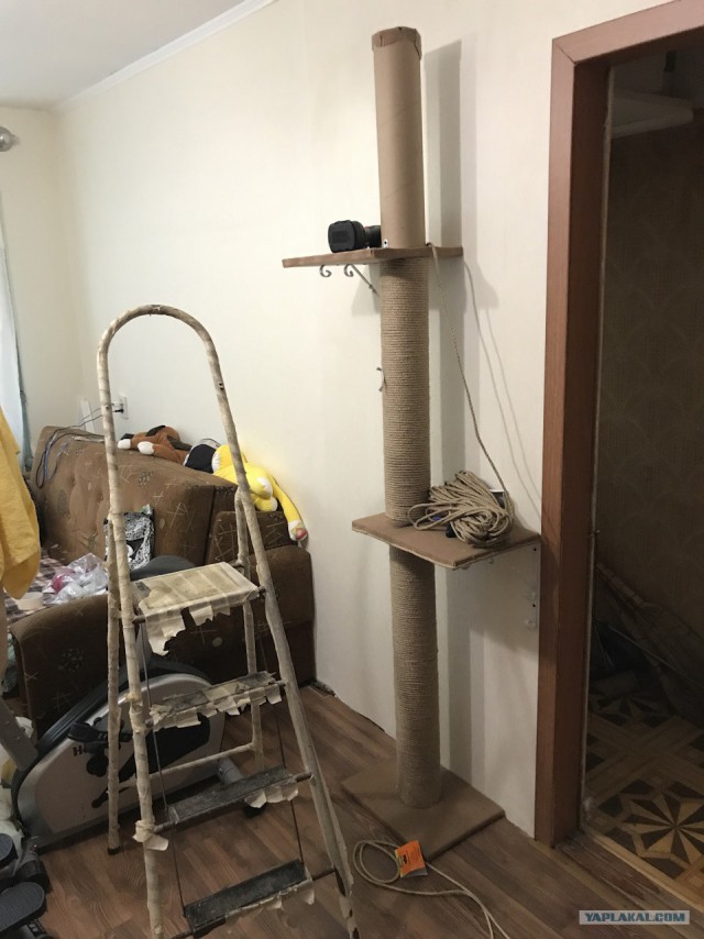 Котомайзинг