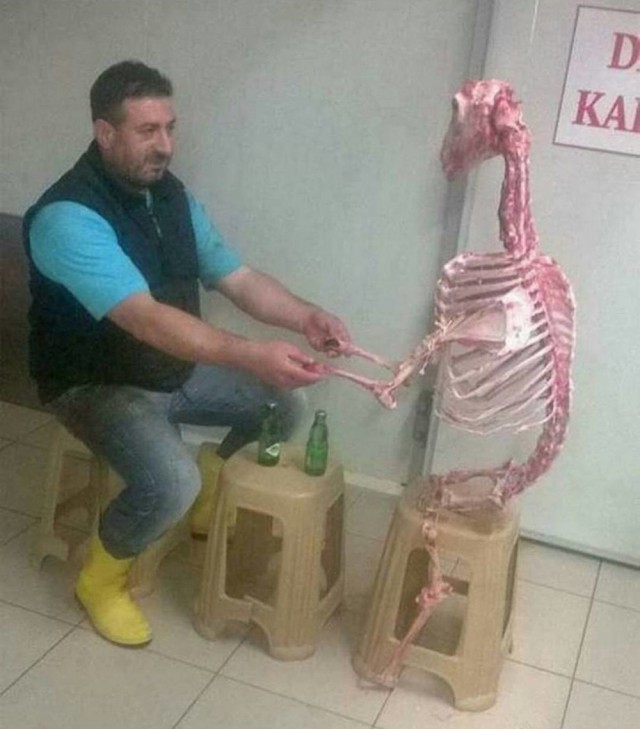 Чудики из социальных сетей