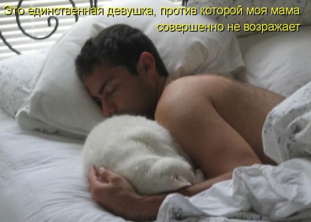 Котовторник 15.02.2011