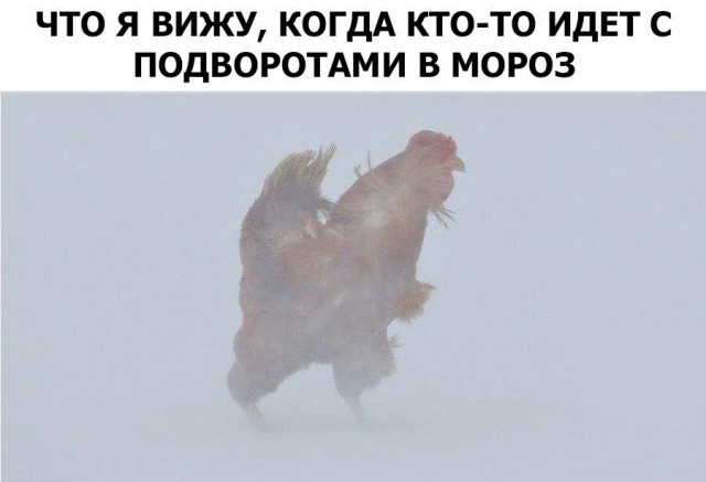 Прикольные картинки абавсём