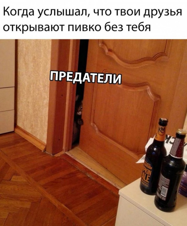 Немного картинок для настроения